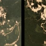 Desmatamento da Amazônia é mentira, Bolsonaro?