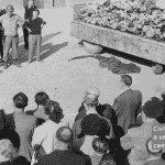 A morte cobrará um preço aos "muito vivos"