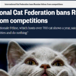 HIsteria com a Rússia vai ao ridículo e impõe 'sanção a gatos'